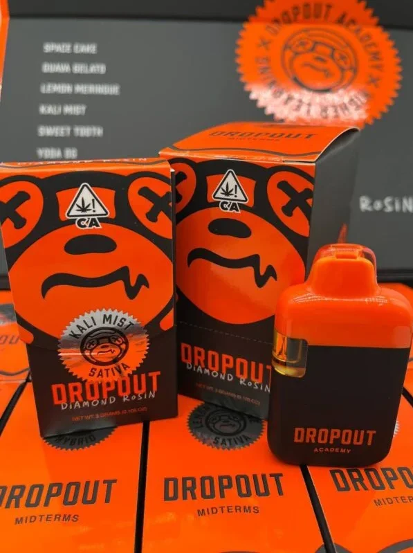 Dropout Academy Midterms Kali Mist