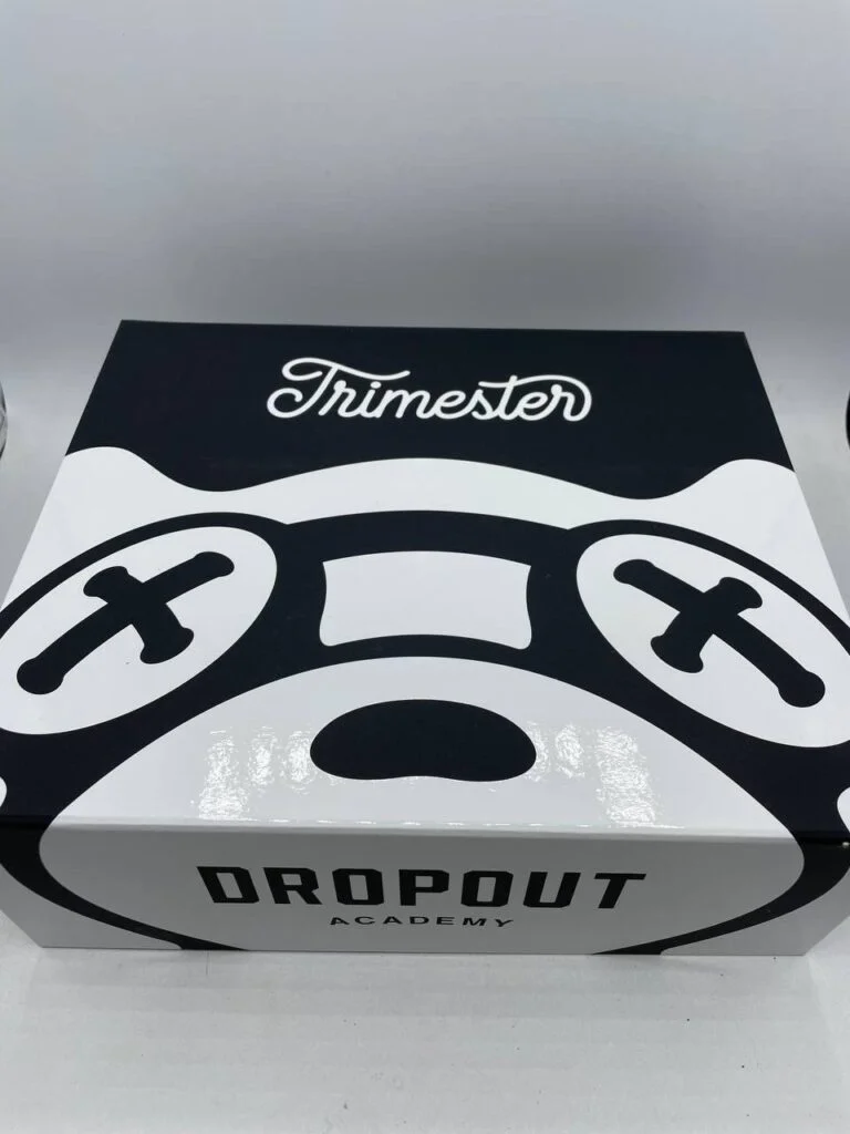 Dropout Academy Trimester 3g Disposable - Image 3
